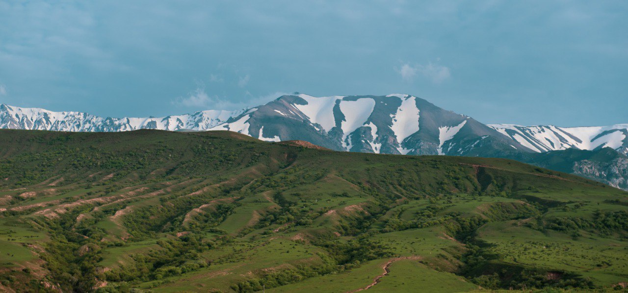 Сурет #25